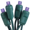 50-Light LED Purple Bulb/Green Wire. 6" Centers. Case Pack Of 24 Sets