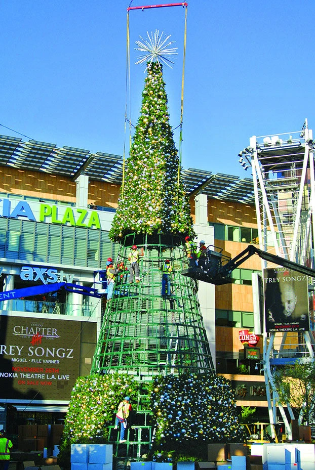 Giant Sequoia Tower Christmas Tree 5 Giant Sequoia Tower Christmas Tree - Image 5