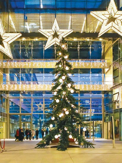 Sherwood Christmas Tree 1 Sherwood Christmas Tree