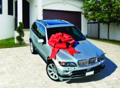 Red Multi Loop Puff Bow 5 Red Multi Loop Puff Bow -Commercial Christmas Supply Red Multiloop Bow App