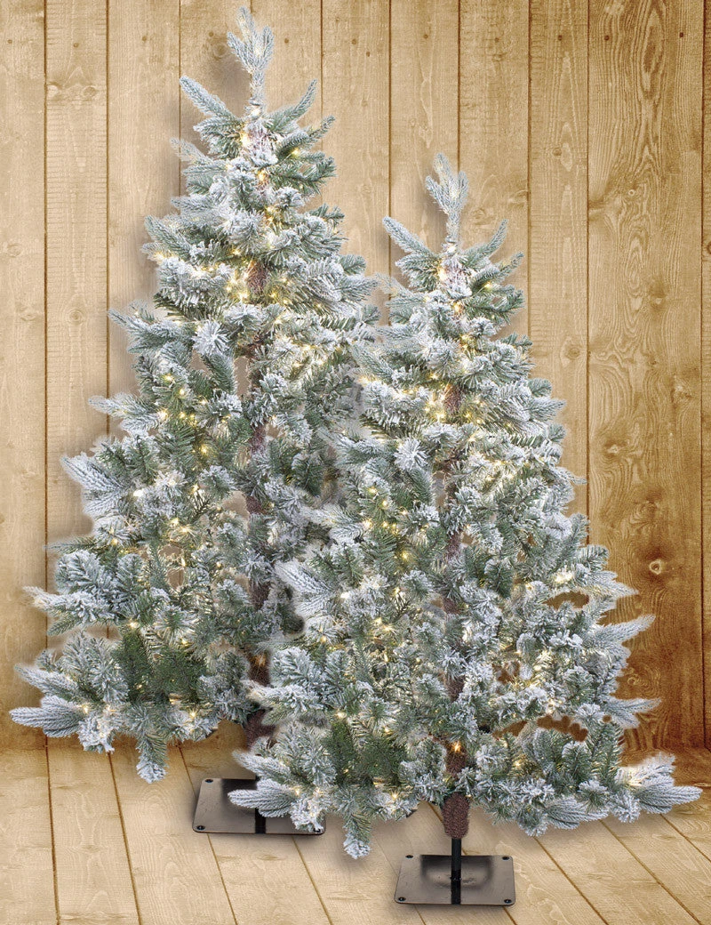 Flat Christmas Trees 1 Flat Christmas Trees