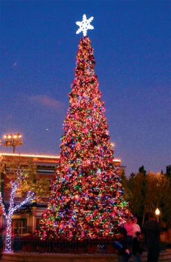 Olympia Pine Tower Tree 6 Olympia Pine Tower Tree -Commercial Christmas Supply olympia tower tree 2