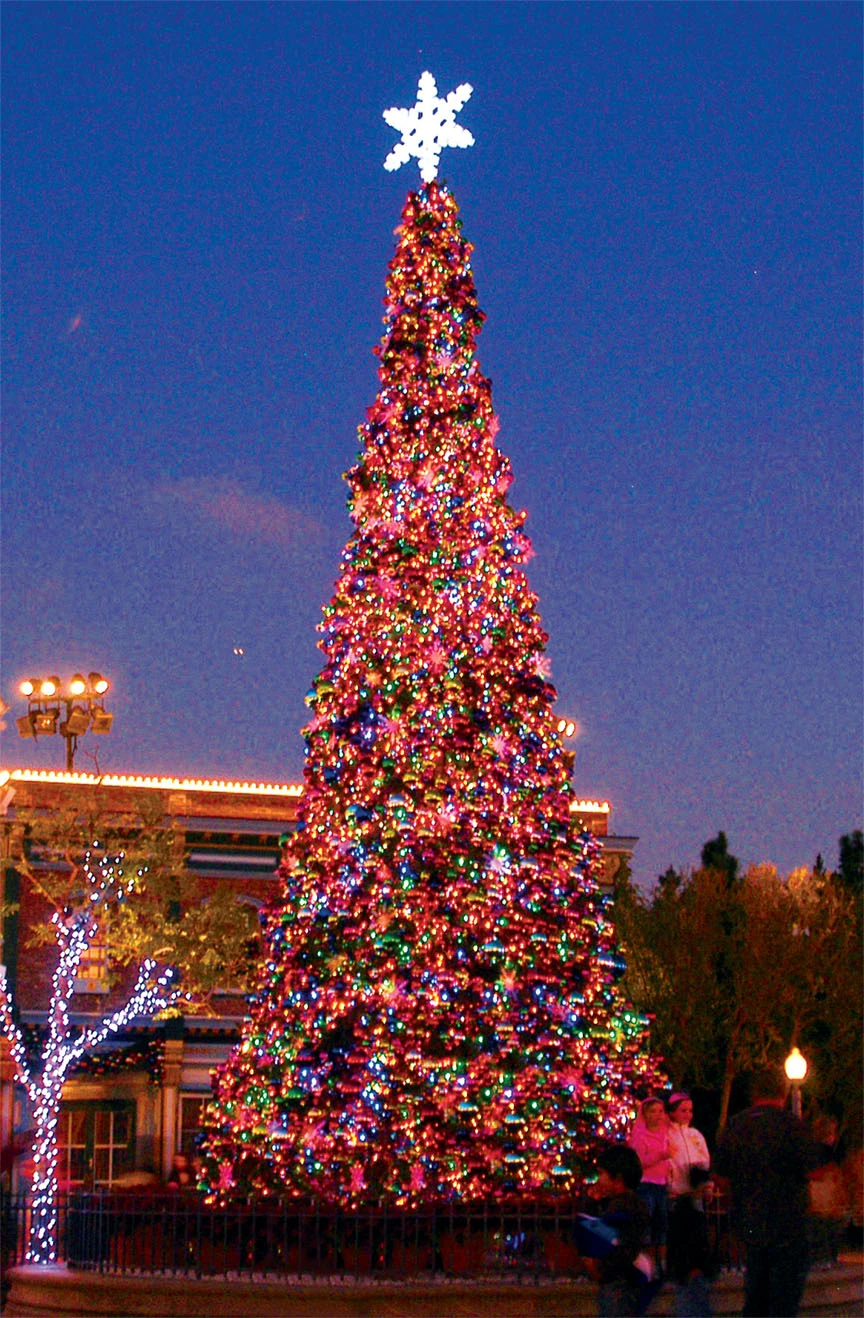 Olympia Pine Tower Tree 3 Olympia Pine Tower Tree - Image 3